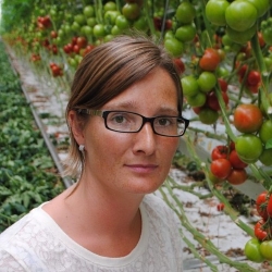 Headshot of Dr. Maaike Perneel